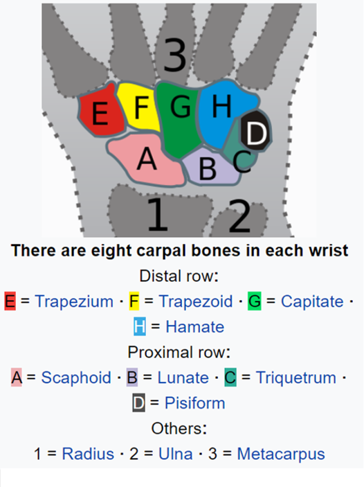 Osteopathy For Carpal Tunnel Syndrome - One&All